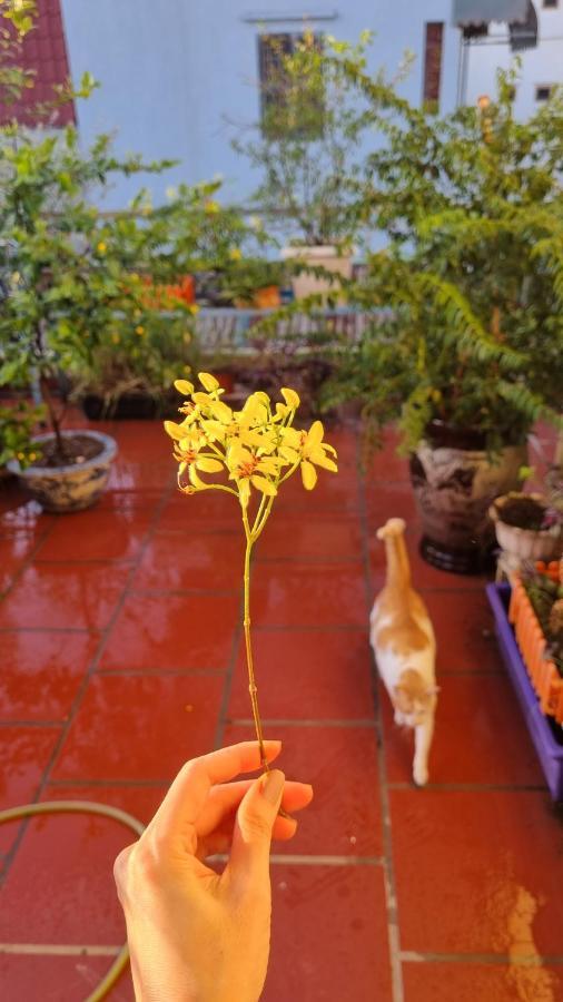 Daisy'S Stay Hanoi Exterior foto